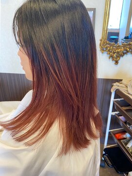 ピクシーボブ(Pixie Bob) モーヴピンクグラデーションカラー