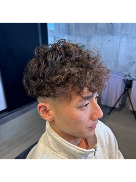 レイヴン(RAVEN) スペインカール