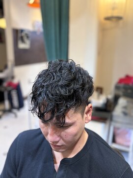 バーバー アカダマ ショートスペインカール