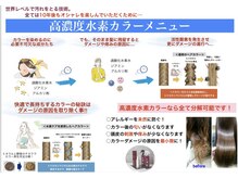 アメリア(Ameria)の雰囲気（Ameriaでカラーすると艶が出るようになります。）