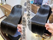 アジール(ASILE)