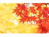 【秋のご褒美♪】カット+カラー+髪質改善TR+ヘッドスパ ¥18000~