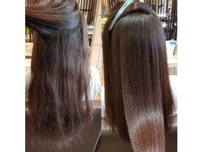 ケイティ(Katy)の写真