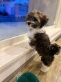 フィグルヘアーデザイン(figle hair design) お客様の安全のため定期的に外の監視をしております