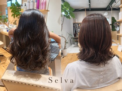 セルバ(Selva)の写真
