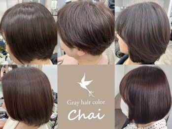 Gray hair color Chai【グレイヘアカラーチャイ】