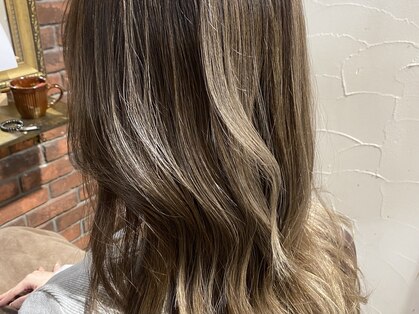 レイ(Rey)の写真