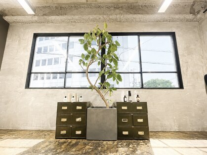 エモシオン(E MOTION)の写真