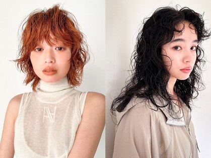 トゥコ(tuco)の写真