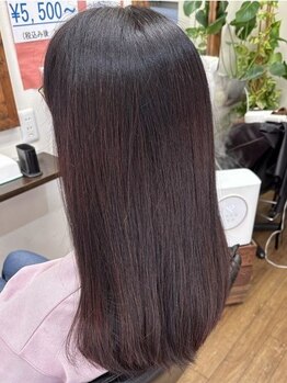 美容室 ラ・シャンブルの写真/等級がある中で、トップクラスのヘナを導入◎