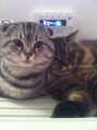 シュープ リーフウォーク稲沢店(SHOOP) 飼い猫のシロとクロです。二人仲良くお風呂の蓋の上です☆