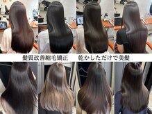 ビセ(VISE)