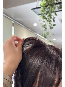 ヤテ(yate') ボルドーカラー