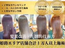 まずは「髪質改善」の正しい知識で、あなたの髪に必要なケアを知りましょう