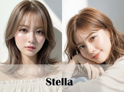 ステラ(Stella)の写真