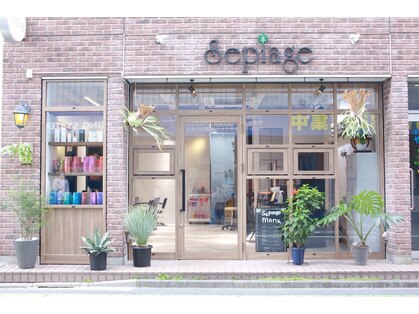 セピアージュ サンク(hair beauty clinic salon Sepiage cinq)の写真