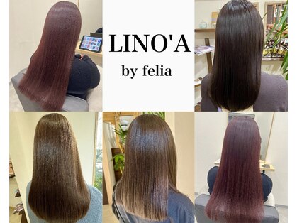リノアバイフェリア(LINO’A by felia)の写真