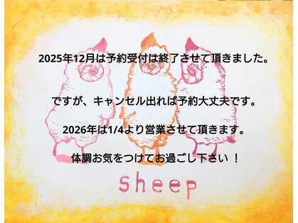 シープ(sheep)の写真