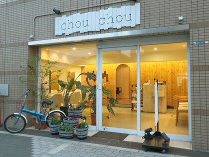 シュシュ(chou chou)の写真