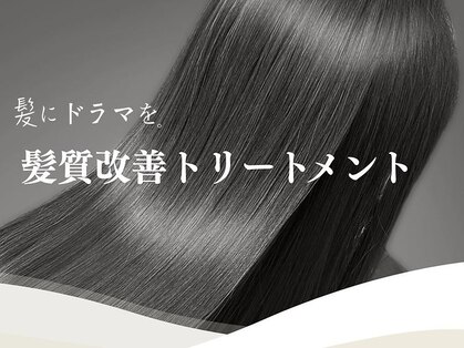 オーク 兵庫(OAK)の写真