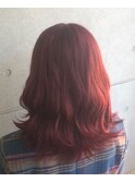 チェリーレッドミディ