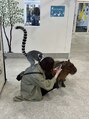 ラフォンテ ドゥーエ(LA FONTE due)&nbsp;動物に触れ合うと癒されますね！お気に入りの写真です♪