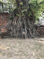 グラット(grAt)&nbsp;今は難しいですが、旅行が好きです！