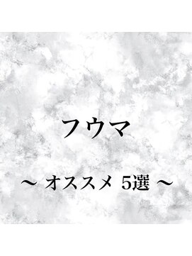 シェルハ(SHELHA) オススメ5選