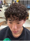 プードルパーマ