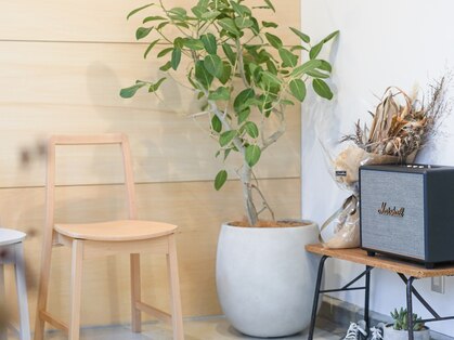 ヴィル(VILLE)の写真