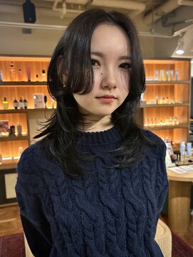 ロスタークラス(ROSTAR class) layer cut