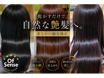 オブ センス(Of Sense)の写真