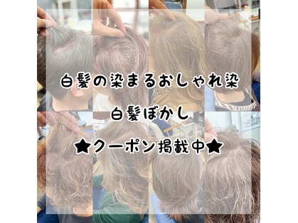 スナリー(Snaly)の写真