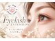フォー ディア ビューティー サロン(for Dear Beauty salon)の写真/ 目元に静かな華やかさを。自然なのに印象に残る、品よく洗練された大人の美しいまつ毛エクステへ