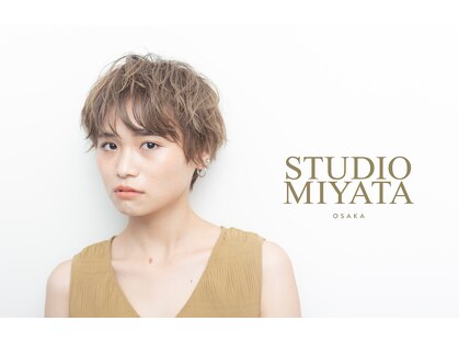 ミヤタ(MIYATA)の写真