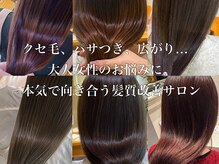 ルク(Luc)