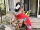 サロン ド パレ サカエの写真