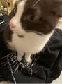 1+ アンプリュス(Unplus)&nbsp;動物が大好きで家でヘビと猫を飼っています☆