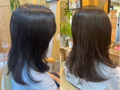 アンズヘアーの写真