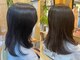 アンズヘアーの写真