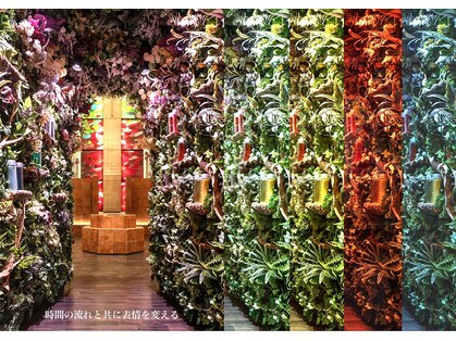 オムシャンティス(OmShantiS)の写真