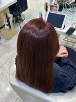 ケンジ 平塚 アネッタ(KENJE annetta)&nbsp;《ワンカラー》艶髪レッドベージュ