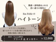 アンフェリール 原島店(Em Fellir)の雰囲気（人気のハイトーンカラーで初めてのブリーチも安 心◎）