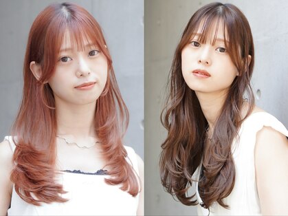 キキ(kiki)の写真