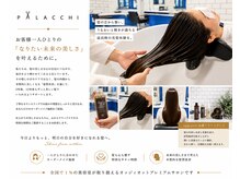 パラッチ 西宮店(Palacchi)