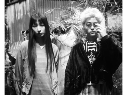 ノイス(noyce)の写真