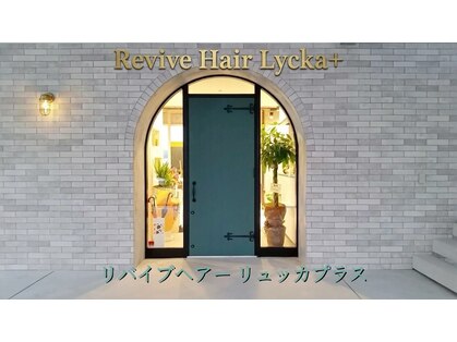リバイブ ヘアー リュッカプラス(Revive Hair Lycka+)の写真