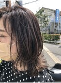 ミディアム ウルフ Classi highlight