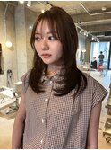 オリーブ　ハイレイヤー