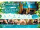 ボヌール(BONHEUR)の写真
